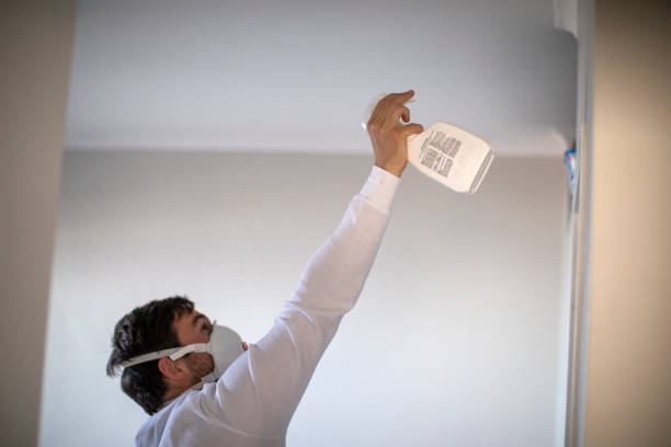 Best Toxic Mold Removal  in Watseka, IL