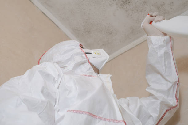 Water Damage Restoration in Watseka, IL