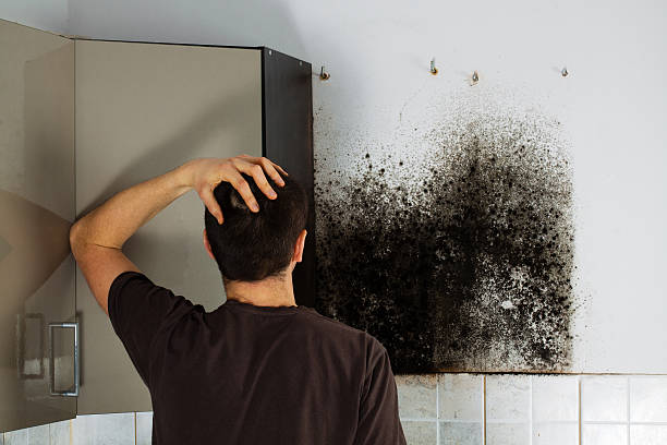 Best Crawl Space Mold Removal  in Watseka, IL